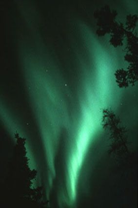 Titel: Aurora Borealis 1 / 3 Bänder, Bäume (Churchill); Inventarnummer: F-758